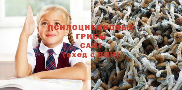 трава Михайловка